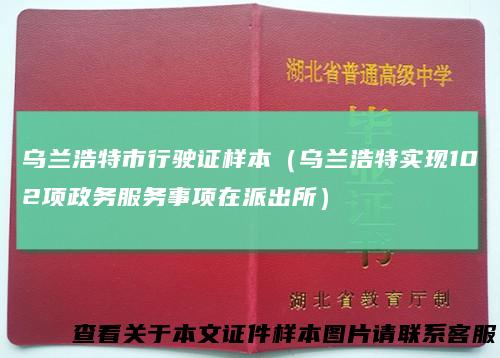 乌兰浩特市行驶证样本（乌兰浩特实现102项政务服务事项在派出所）
