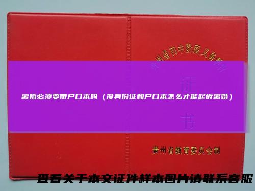 离婚必须要带户口本吗（没身份证和户口本怎么才能起诉离婚）