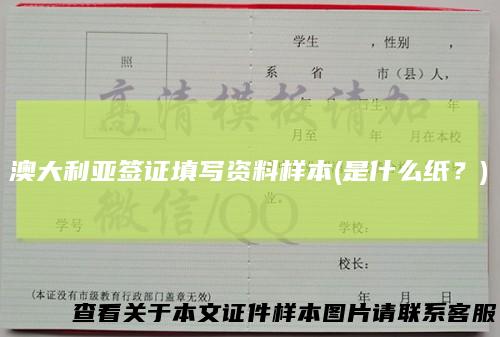澳大利亚签证填写资料样本(是什么纸？)