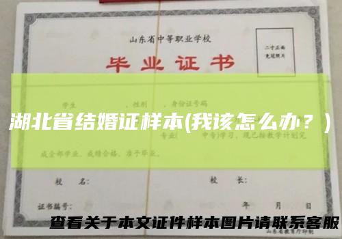 湖北省结婚证样本(我该怎么办?)