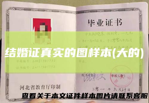 结婚证真实的图样本(大的)