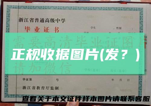 正规收据图片(发?)