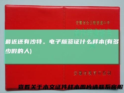 最近还有沙特。电子版签证什么样本(有多少假的人)