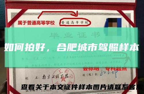如何拍好，合肥城市驾照样本