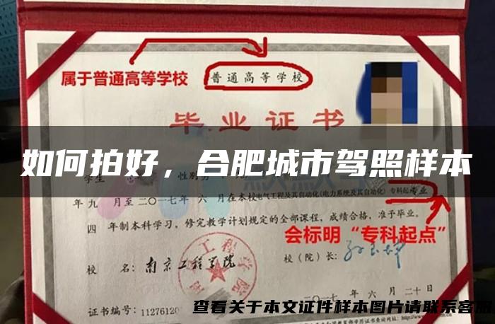 如何拍好，合肥城市驾照样本