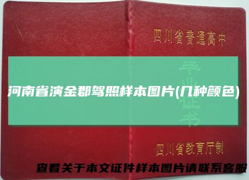 河南省演金郡驾照样本图片(几种颜色)