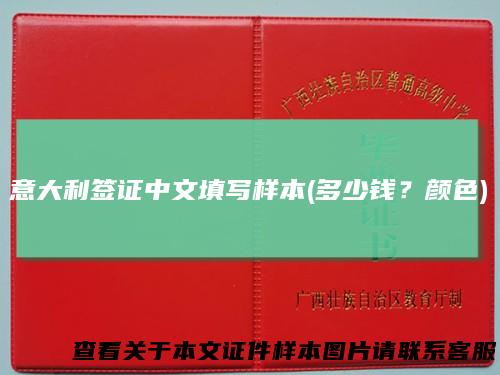 意大利签证中文填写样本(多少钱？颜色)