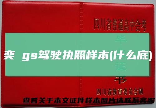 奕譞gs驾驶执照样本(什么底)