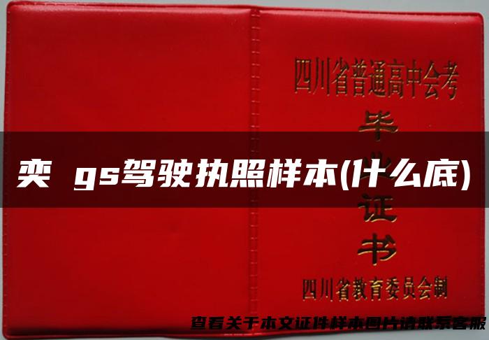 奕譞gs驾驶执照样本(什么底)