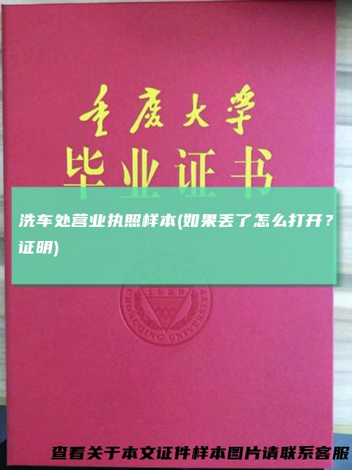 洗车处营业执照样本(如果丢了怎么打开？证明)