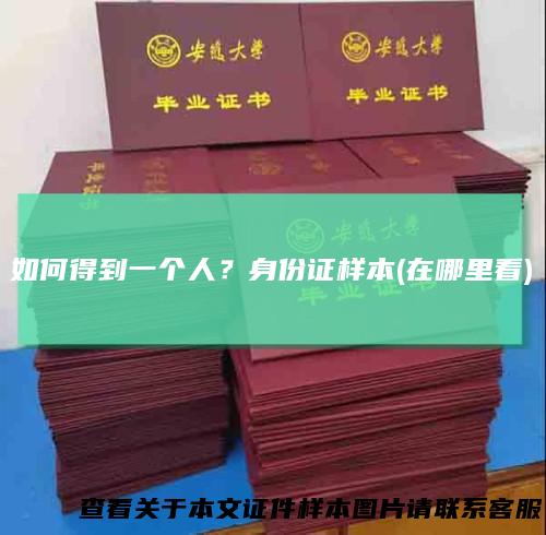 如何得到一个人？身份证样本(在哪里看)