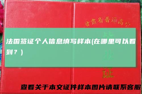 法国签证个人信息填写样本(在哪里可以看到？)