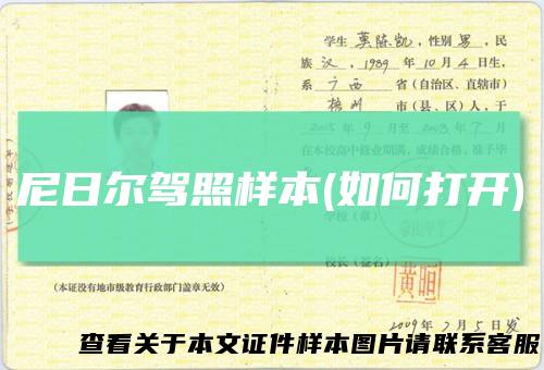 尼日尔驾照样本(如何打开)