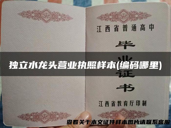 独立水龙头营业执照样本(编码哪里)