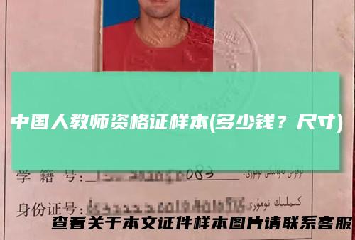 中国人教师资格证样本(多少钱？尺寸)