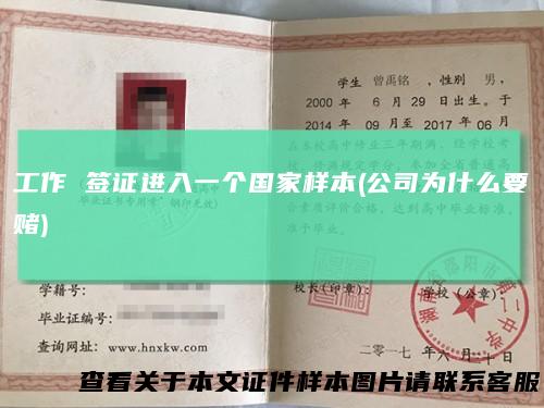 工作 签证进入一个国家样本(公司为什么要赌)