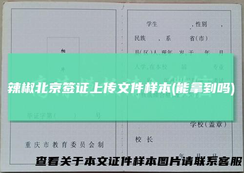 辣椒北京签证上传文件样本(能拿到吗)