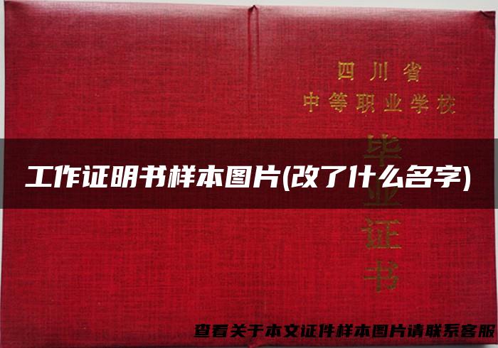 工作证明书样本图片(改了什么名字)
