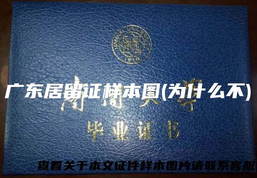 广东居留证样本图(为什么不)