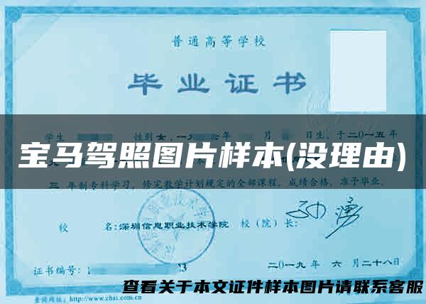 宝马驾照图片样本(没理由)