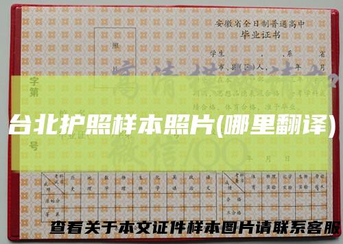 台北护照样本照片(哪里翻译)