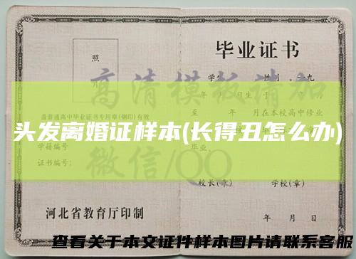 头发离婚证样本(长得丑怎么办)