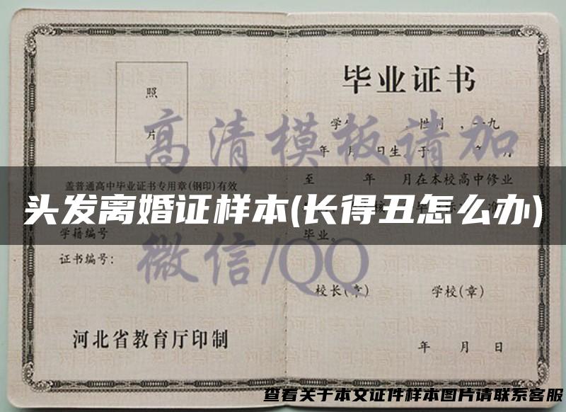 头发离婚证样本(长得丑怎么办)