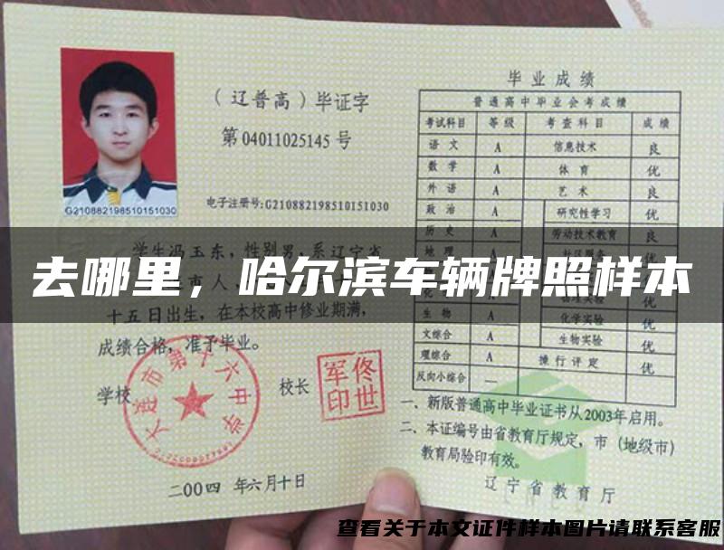 去哪里，哈尔滨车辆牌照样本