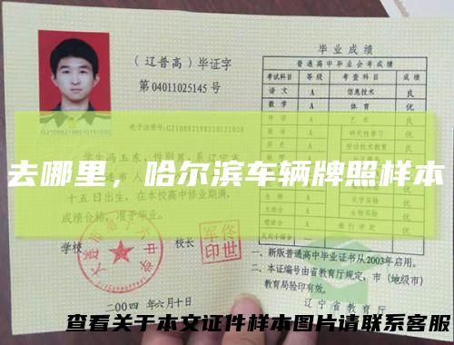 去哪里,哈尔滨车辆牌照样本
