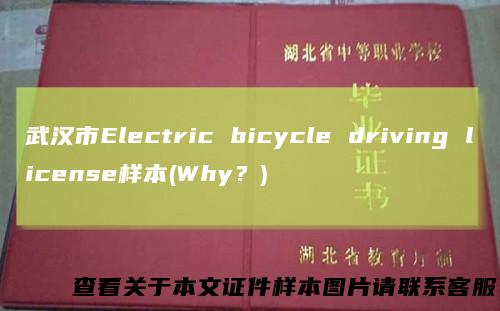 武汉市Electric bicycle driving license样本(Why？)