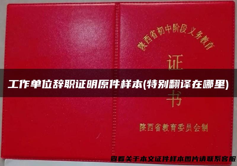 工作单位辞职证明原件样本(特别翻译在哪里)