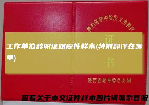 工作单位辞职证明原件样本(特别翻译在哪里)