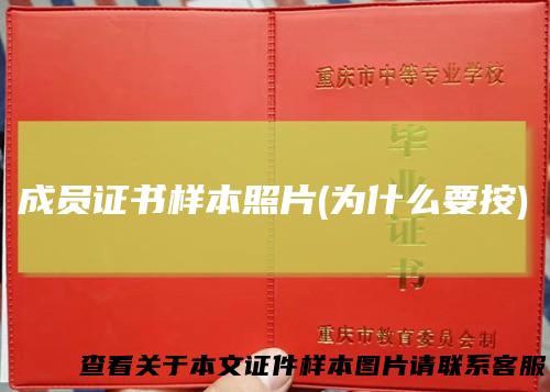 成员证书样本照片(为什么要按)