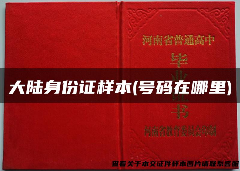 大陆身份证样本(号码在哪里)