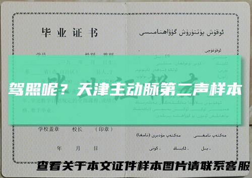 驾照呢？天津主动脉第二声样本