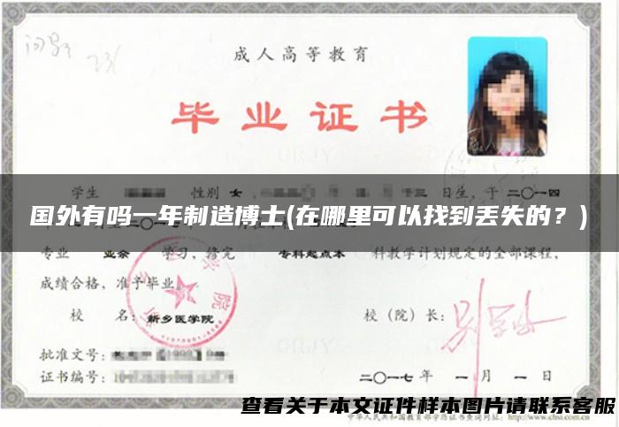 国外有吗一年制造博士(在哪里可以找到丢失的？)
