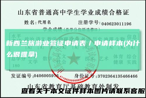 新西兰旅游业签证申请表／申请样本(为什么很难拿)