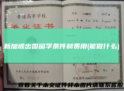 新加坡出国留学条件和费用(能做什么)