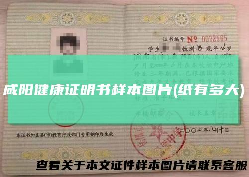 咸阳健康证明书样本图片(纸有多大)
