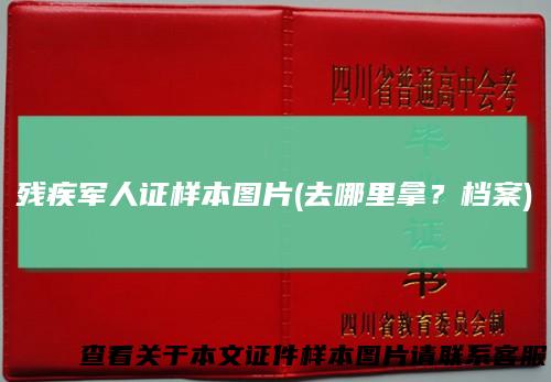 残疾军人证样本图片(去哪里拿?档案)