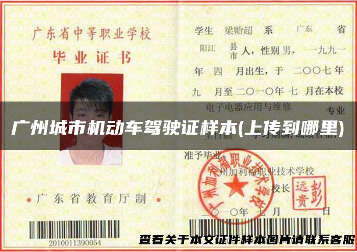 广州城市机动车驾驶证样本(上传到哪里)