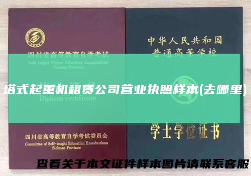 塔式起重机租赁公司营业执照样本(去哪里)