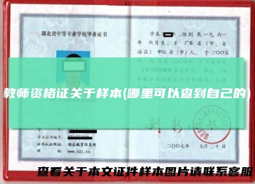 教师资格证关于样本(哪里可以查到自己的)