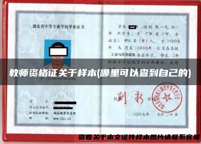 教师资格证关于样本(哪里可以查到自己的)