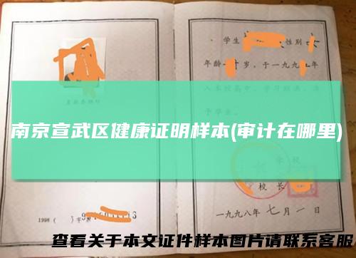南京宣武区健康证明样本(审计在哪里)