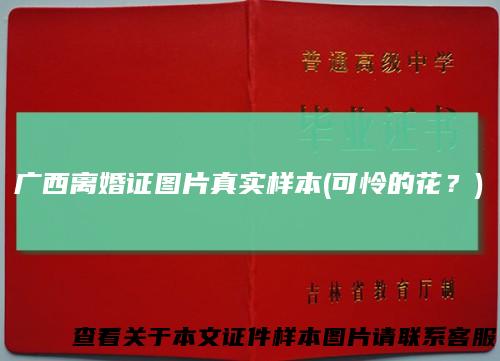 广西离婚证图片真实样本(可怜的花？)