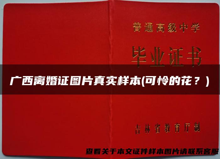 广西离婚证图片真实样本(可怜的花？)