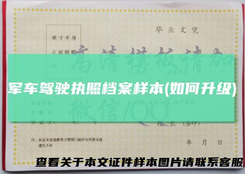 军车驾驶执照档案样本(如何升级)