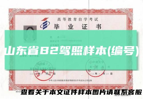 山东省B2驾照样本(编号)