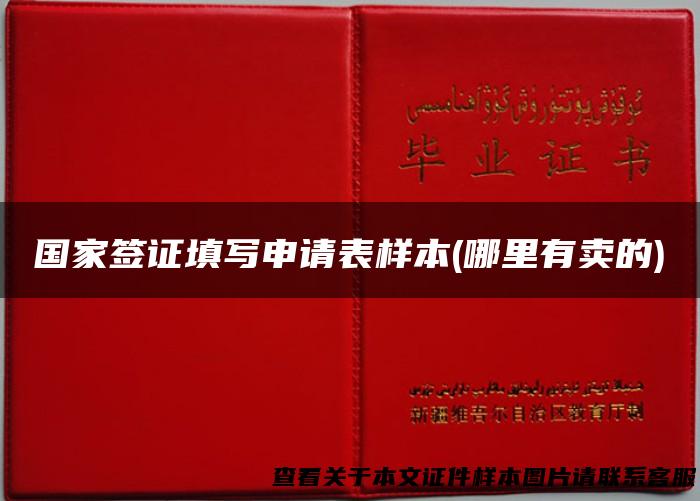 国家签证填写申请表样本(哪里有卖的)